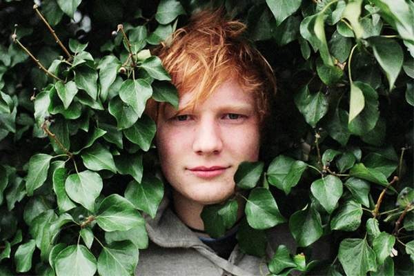 [Ed-Sheeran%255B2%255D.jpg]