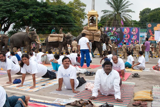 11. A group of elephants strolled out of the palace in the middle of the event. Journalists requested some of the audience members assume yoga postures. Some of their alignment was quite unique!