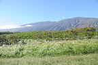 DSC_6151.JPG