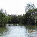 IMG_7946.JPG