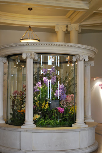 The award-winning orchids.