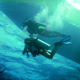 Scuba Divers