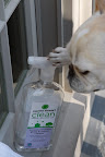 I'll just squirt a little of this Martha Stewart Clean glass & mirror cleaner.  I've heard it does a really good job without harmful chemicals.