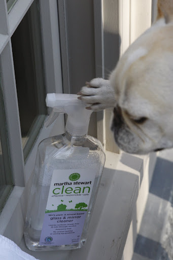 I'll just squirt a little of this Martha Stewart Clean glass & mirror cleaner.  I've heard it does a really good job without harmful chemicals.