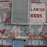 "Feeds" - copyright David Thompson