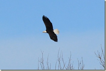 IMG_6308 IMG_6308