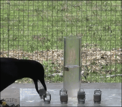 [clip_image008%255B4%255D.gif]