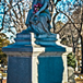 View album