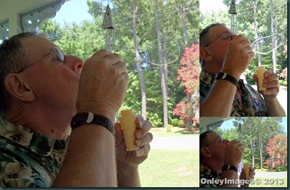 bubbles collage bubbles collage