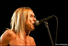 Iggy and the Stooges-12.jpg