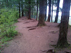Teapot Hill