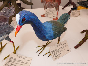 Aves_esculturas-6.jpg Aves_esculturas-6.jpg