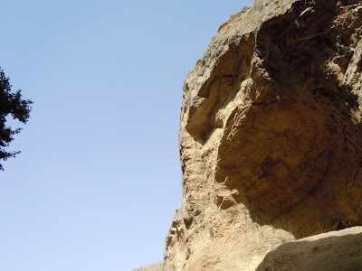 DSCN4044.jpg