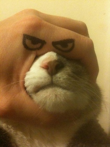 [viral-picdump-pics-43%255B2%255D.jpg]