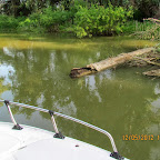IMG_7859.JPG