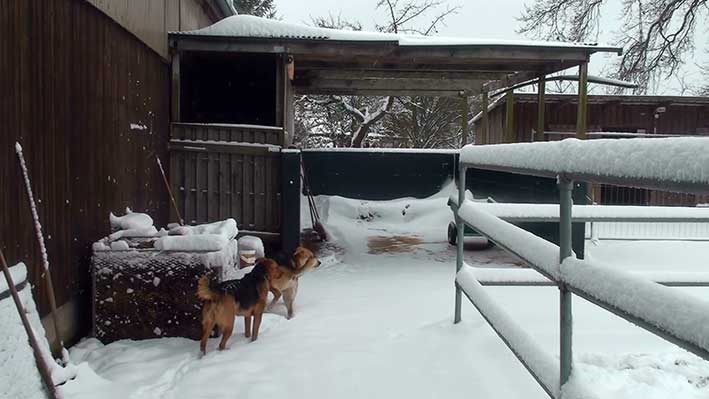 [Schnee9%255B2%255D.jpg]