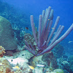 IMG_8967.JPG