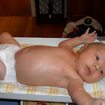 SAM_0462.JPG