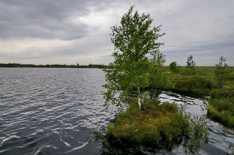http://lh3.ggpht.com/-5Fwf8iKVhQk/Rn_3NSU63II/AAAAAAAAABU/7AmitoNN45w/s822/IMGP0057_oz_zjarovskoe.jpg