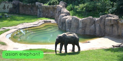 NationalZoo_2 NationalZoo_2