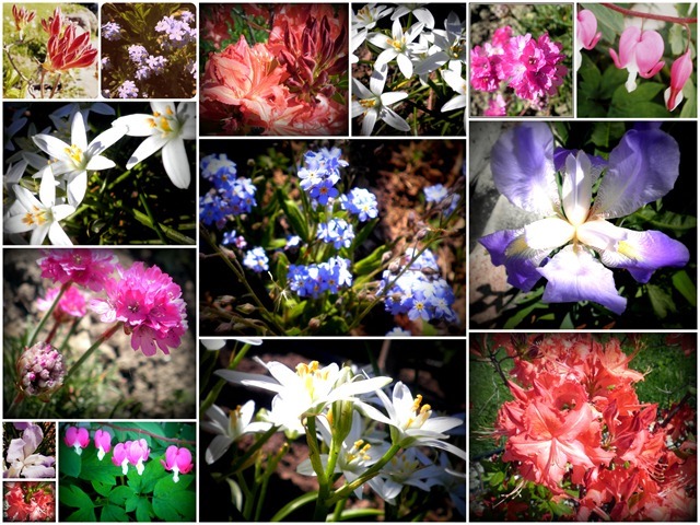 [spring-at-the-orchard4.jpg]