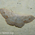 Dscn4673