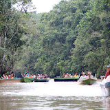 Lots and lots of tourists visit the Kinabatangan