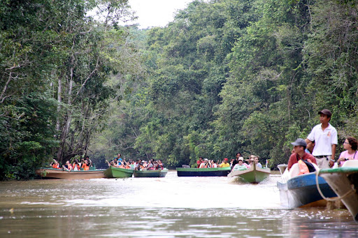 Lots and lots of tourists visit the Kinabatangan