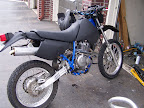 dr350