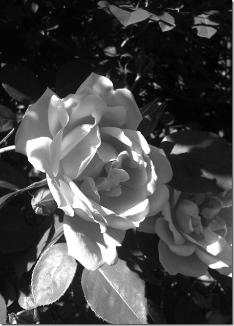 october and november 2011 087