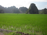 IMG_1191.JPG