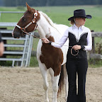 Paint Horse Show 2011