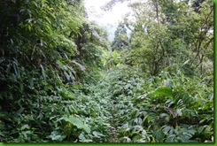 IMG_0016 IMG_0016