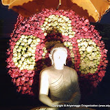 28 Marble Buddha Statues, Mal Asana & Mutu Kuda Pujawa - Atavisi Buddha Pujawa 2009