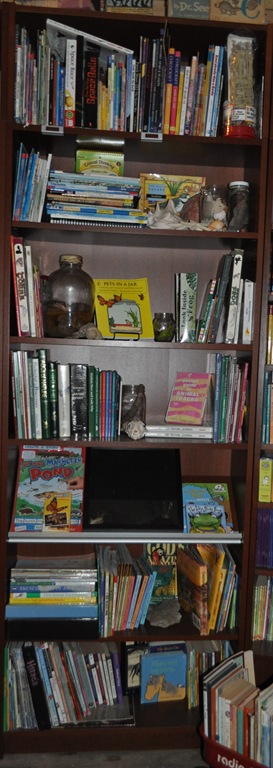 [schollroom-2012-05813.jpg]