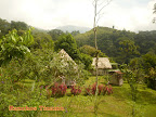 Gira Cerro Pittier Parque Nacional la Amistad Slideshow