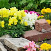 strathcona gardens-22.jpg