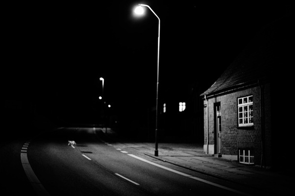 [DSC_9600%255B2%255D.jpg]