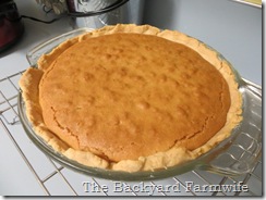 chocolate chip cookie pie - The Backyard Farmwife