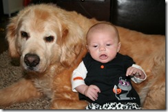 IMG_0847 IMG_0847