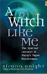 A Witch Like Me The Spiritual Journeys Of Today Pagan Practitioners