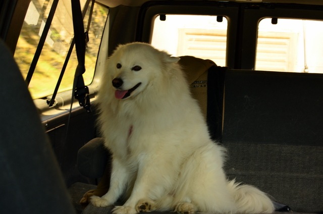 [DSC_0262%255B4%255D.jpg]