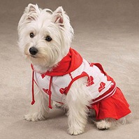 roupa de cachorro