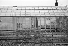 Student-Greenhouses