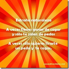humor pedos 3 1 humor pedos 3 1
