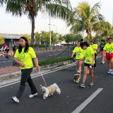 Pet Express Doggie Run 2012 Philippines. Jpg (98).JPG