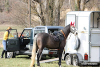 IMG_9411.JPG Photo