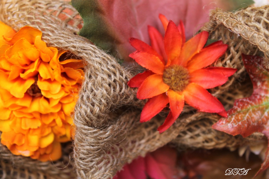 [front%2520door%2520032%255B3%255D.jpg]