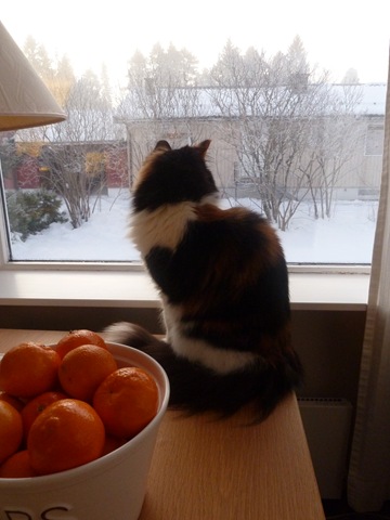 [P1050186%255B4%255D.jpg]