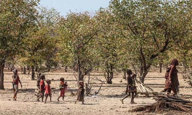 The parched village of Otutati, Namibia, near Opuwo. Namibia declared a state of emergency in May 2013, amid the worst drought in a generation. Photo: Jordi Matas / AP